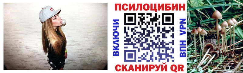 Купить  Болхов  Псилоцибиновые грибы Psilocybine cubensis 